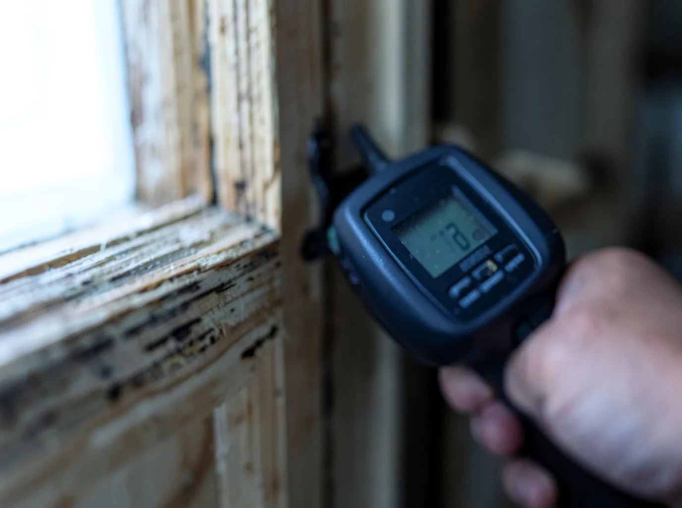 Moisture Inspection And Documentation in Hatchechubbee, AL